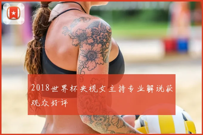 2018世界杯央视女主持专业解说获观众好评