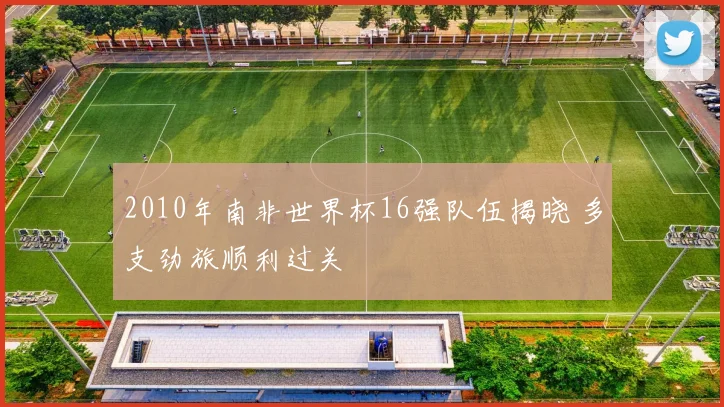 2010年南非世界杯16强队伍揭晓 多支劲旅顺利过关