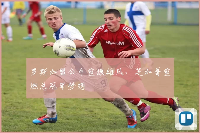 罗斯加盟公牛重振雄风，芝加哥重燃总冠军梦想