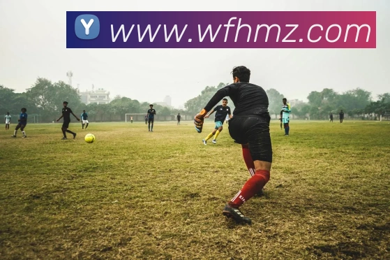 体育赛事